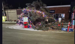 Large christmas tree with lights laying on the ground. 